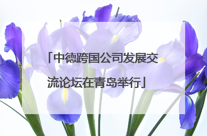 中德跨国公司发展交流论坛在青岛举行