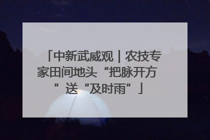中新武威观｜农技专家田间地头“把脉开方”送“及时雨”