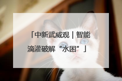 中新武威观｜智能滴灌破解“水困”