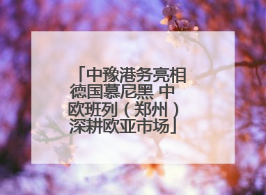 中豫港务亮相德国慕尼黑 中欧班列（郑州）深耕欧亚市场