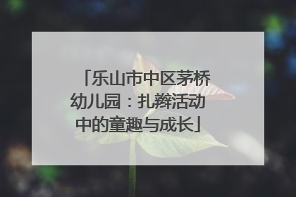 乐山市中区茅桥幼儿园：扎辫活动中的童趣与成长