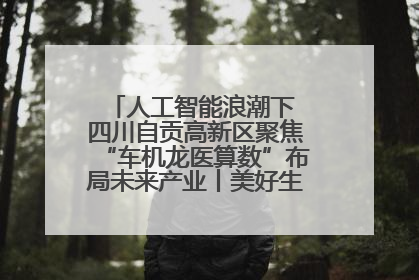 人工智能浪潮下 四川自贡高新区聚焦“车机龙医算数”布局未来产业丨美好生活有“盐”味