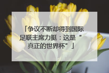 争议不断却得到国际足联主席力挺：这是“真正的世界杯”