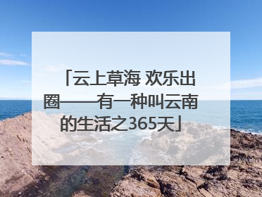 云上草海 欢乐出圈——有一种叫云南的生活之365天