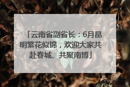 云南省副省长：6月昆明繁花似锦，欢迎大家共赴春城、共聚南博