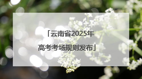云南省2025年高考考场规则发布