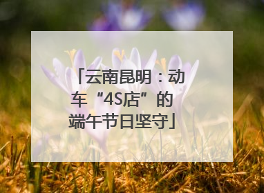 云南昆明：动车“4S店”的端午节日坚守