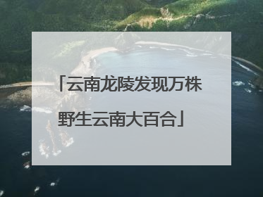 云南龙陵发现万株野生云南大百合