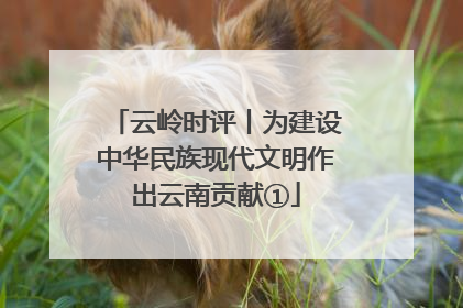云岭时评丨为建设中华民族现代文明作出云南贡献①
