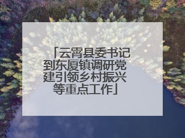 云霄县委书记到东厦镇调研党建引领乡村振兴等重点工作