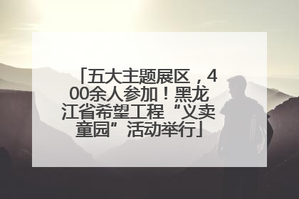五大主题展区，400余人参加！黑龙江省希望工程“义卖童园”活动举行