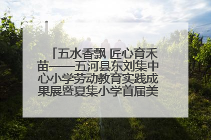 五水香飘 匠心育禾苗——五河县东刘集中心小学劳动教育实践成果展暨夏集小学首届美食节盛大举行