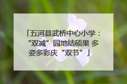五河县武桥中心小学：“双减”园地结硕果 多姿多彩庆“双节”