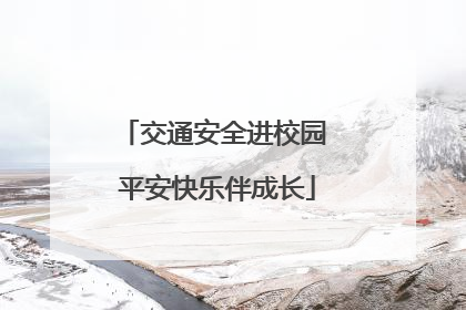 交通安全进校园 平安快乐伴成长