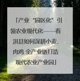产业“园区化”引领农业现代化——看淇县如何深耕小麦、肉鸡 全产业链打造现代农业产业园