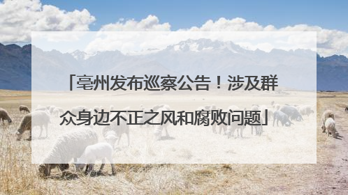 亳州发布巡察公告！涉及群众身边不正之风和腐败问题