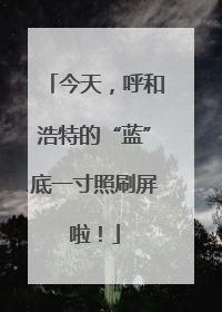 今天，呼和浩特的“蓝”底一寸照刷屏啦！