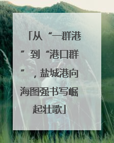 从“一群港”到“港口群”，盐城港向海图强书写崛起壮歌