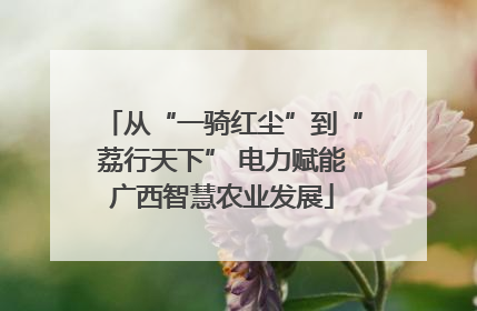 从“一骑红尘”到“荔行天下” 电力赋能广西智慧农业发展