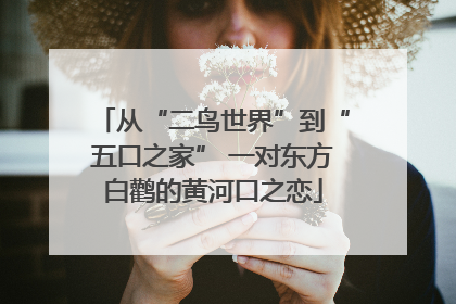 从“二鸟世界”到“五口之家” 一对东方白鹳的黄河口之恋