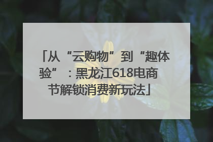 从“云购物”到“趣体验”：黑龙江618电商节解锁消费新玩法