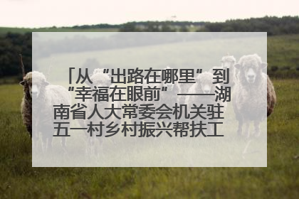 从“出路在哪里”到“幸福在眼前”——湖南省人大常委会机关驻五一村乡村振兴帮扶工作队书写振兴答卷