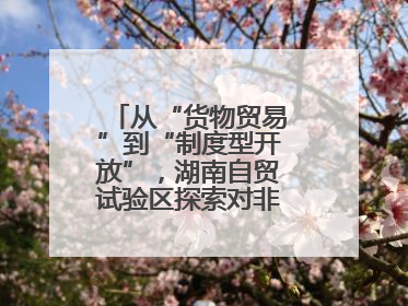 从“货物贸易”到“制度型开放”，湖南自贸试验区探索对非合作新模式