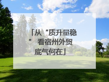 从“质升量稳” 看宿州外贸底气何在