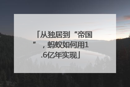 从独居到“帝国”，蚂蚁如何用1.6亿年实现