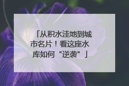从积水洼地到城市名片！看这座水库如何“逆袭”