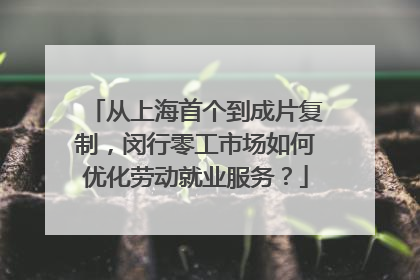 从上海首个到成片复制，闵行零工市场如何优化劳动就业服务？