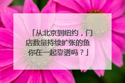 从北京到纽约，门店数量持续扩张的鱼你在一起靠谱吗？