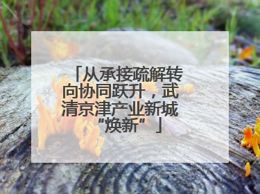 从承接疏解转向协同跃升，武清京津产业新城“焕新”