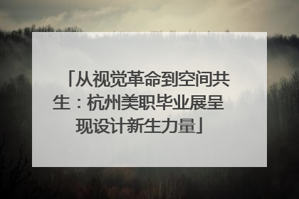 从视觉革命到空间共生：杭州美职毕业展呈现设计新生力量