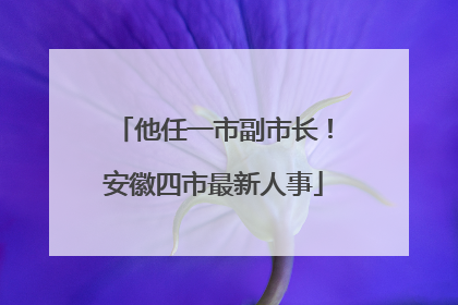 他任一市副市长！安徽四市最新人事