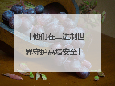 他们在二进制世界守护高墙安全