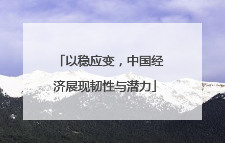 以稳应变，中国经济展现韧性与潜力