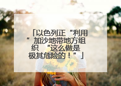 以色列正“利用”加沙地带地方组织  “这么做是极其危险的！”