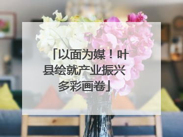 以面为媒！叶县绘就产业振兴多彩画卷