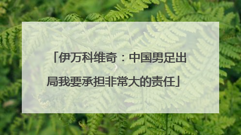 伊万科维奇：中国男足出局我要承担非常大的责任