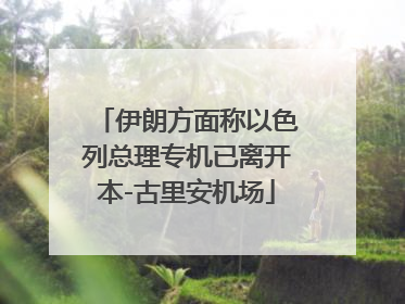 伊朗方面称以色列总理专机已离开本-古里安机场