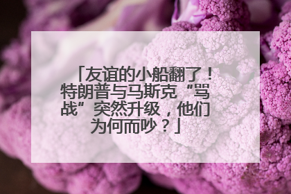 友谊的小船翻了！特朗普与马斯克“骂战”突然升级，他们为何而吵？