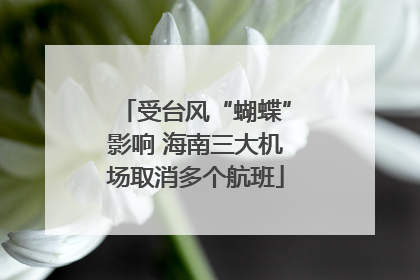 受台风“蝴蝶”影响 海南三大机场取消多个航班