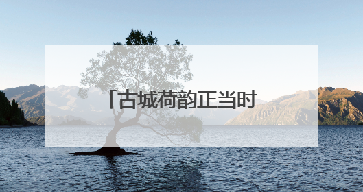 古城荷韵正当时 明月公园邀您共赏“别样红”