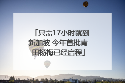 只需17小时就到新加坡 今年首批青田杨梅已经启程