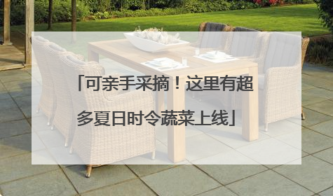 可亲手采摘！这里有超多夏日时令蔬菜上线