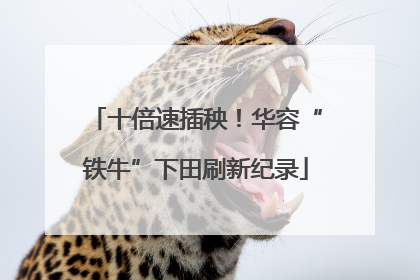 十倍速插秧！华容“铁牛”下田刷新纪录
