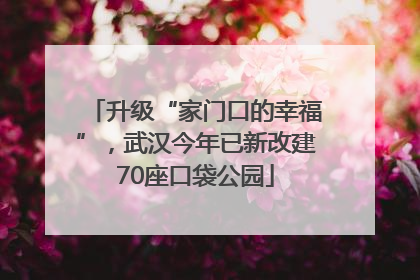 升级“家门口的幸福”，武汉今年已新改建70座口袋公园