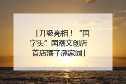 升级亮相！“国字头”国潮文创店首店落子潘家园