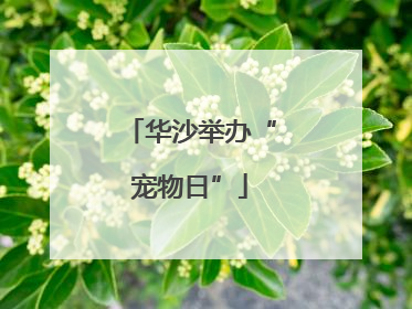 华沙举办“宠物日”